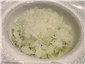 fennel sorbet